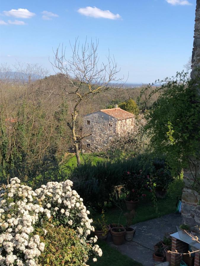 Dolce Vita In Tuscany Cottage Capannori Buitenkant foto