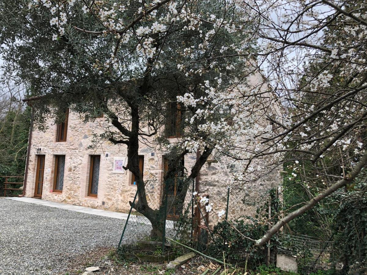 Dolce Vita In Tuscany Cottage Capannori Buitenkant foto
