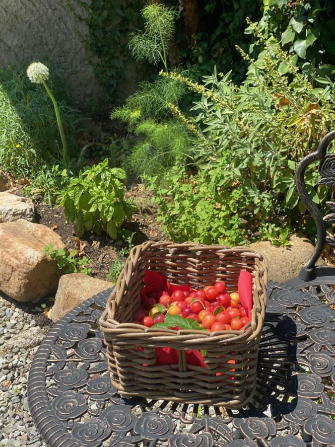 Dolce Vita In Tuscany Cottage Capannori Buitenkant foto