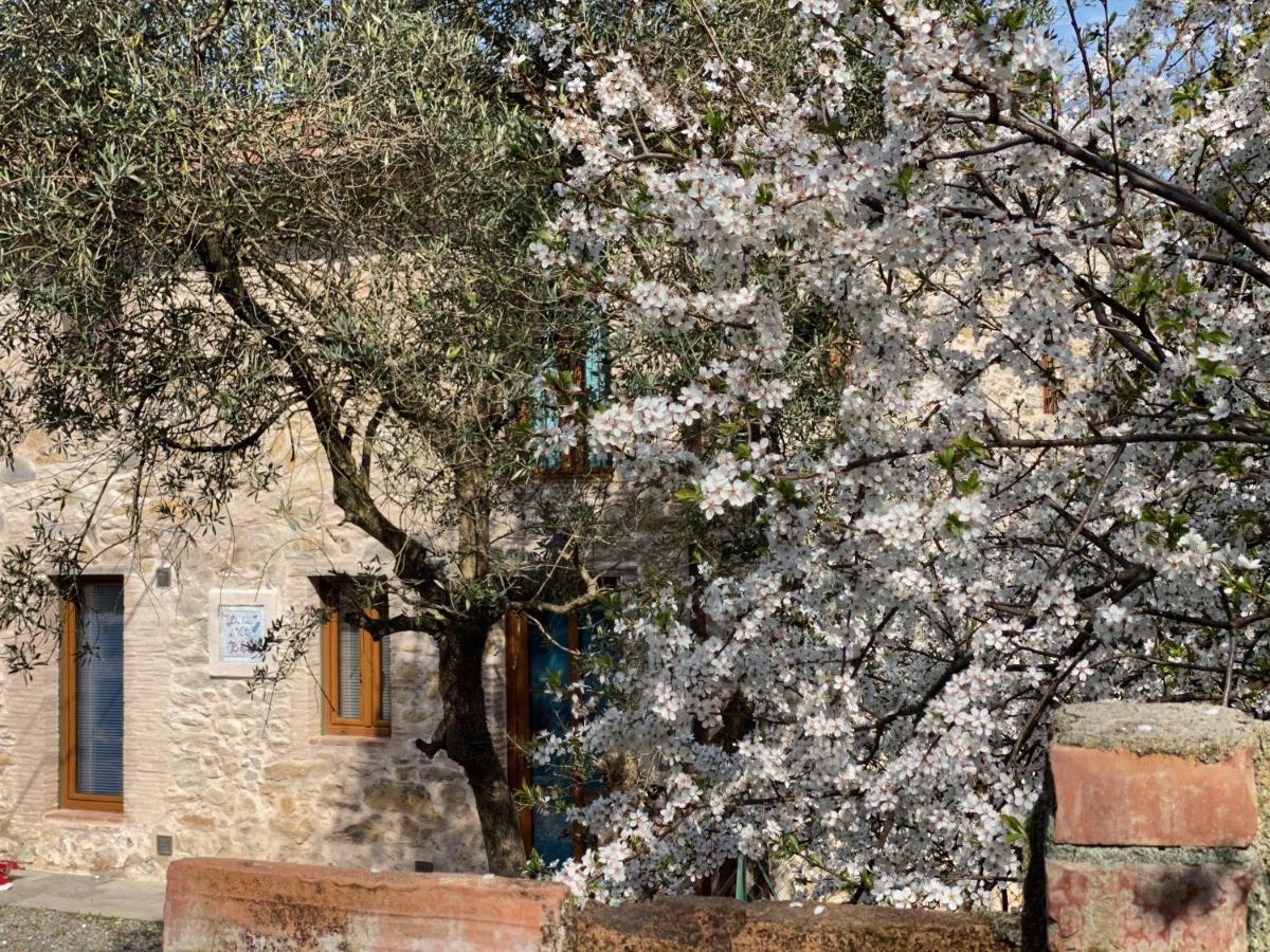 Dolce Vita In Tuscany Cottage Capannori Buitenkant foto