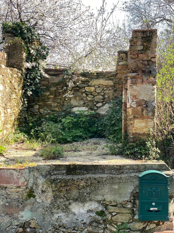 Dolce Vita In Tuscany Cottage Capannori Buitenkant foto