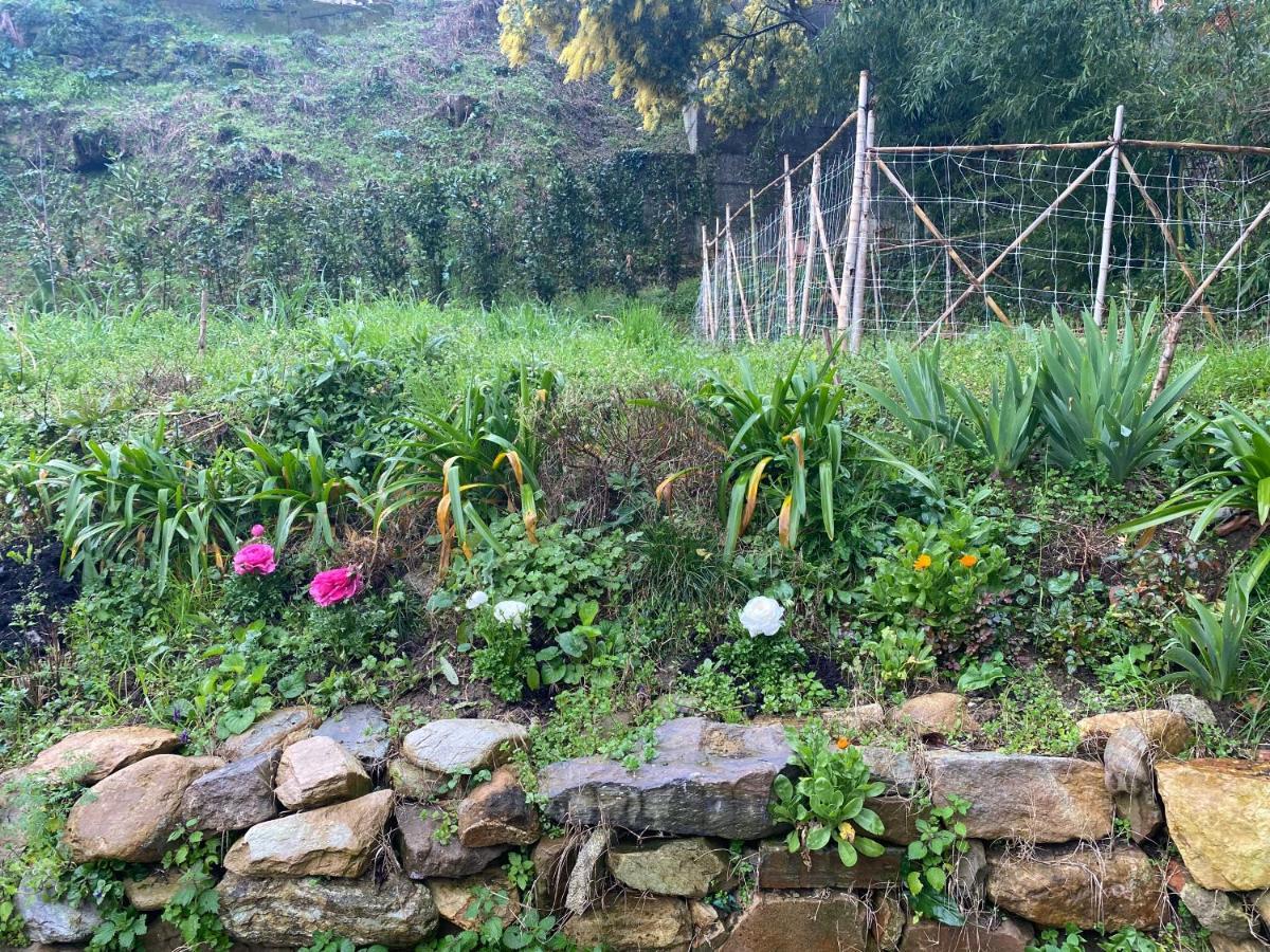 Dolce Vita In Tuscany Cottage Capannori Buitenkant foto