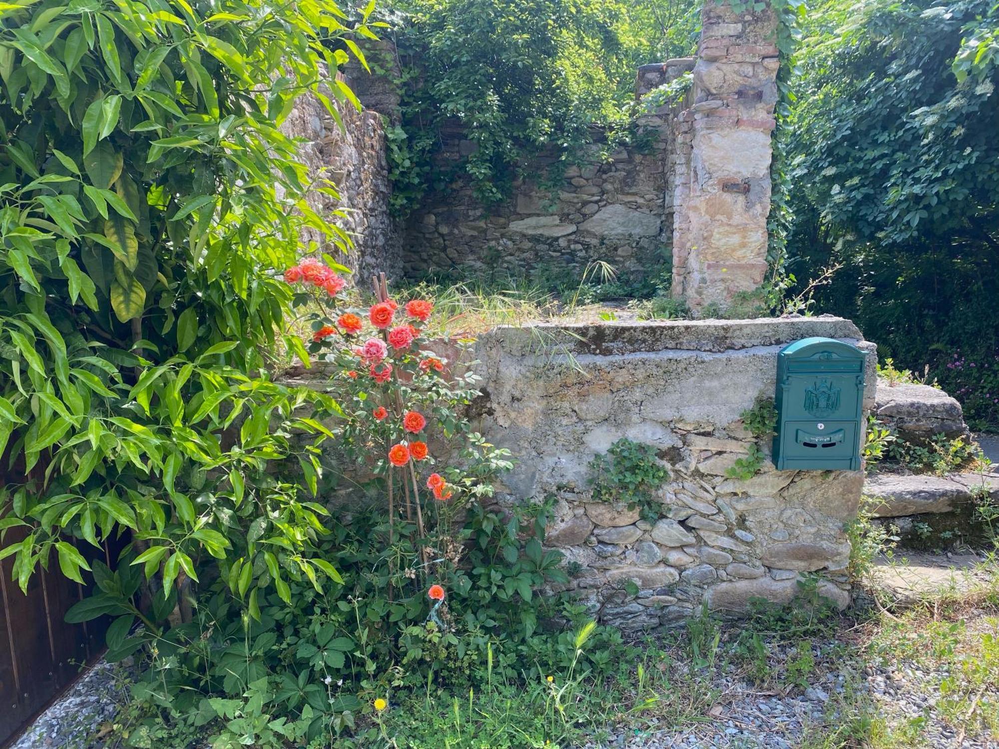 Dolce Vita In Tuscany Cottage Capannori Buitenkant foto